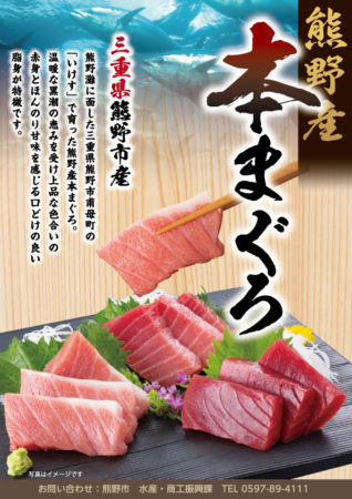 熊野産本まぐろチラシ
